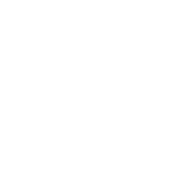 Weinbau Brandstätter-Kraus Logo